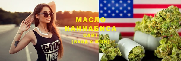 индика Зеленодольск