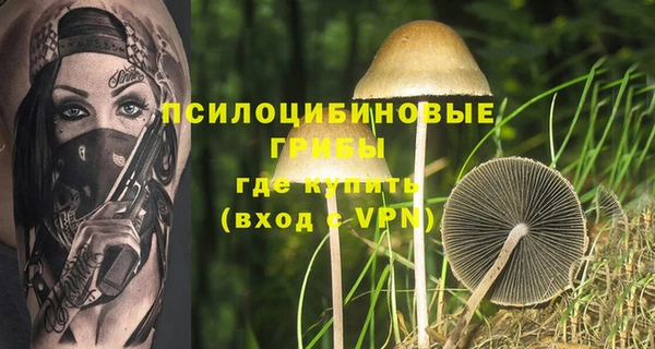 индика Зеленодольск