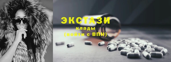 индика Зеленодольск