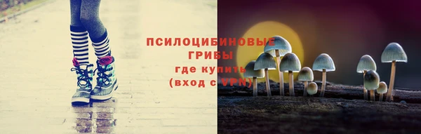 индика Зеленодольск