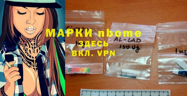 индика Зеленодольск