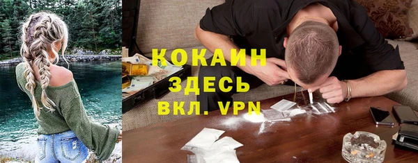 индика Зеленодольск