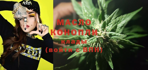 индика Зеленодольск
