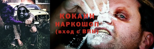 индика Зеленодольск