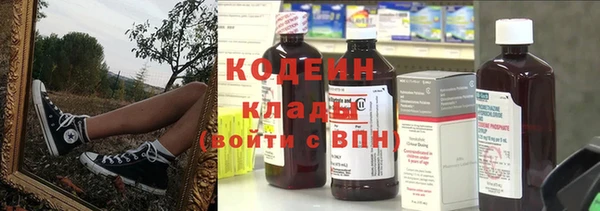 индика Зеленодольск
