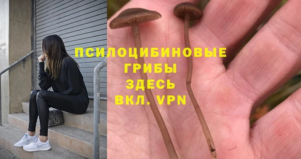 PSILOCYBIN Зеленокумск