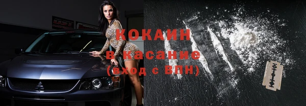 индика Зеленодольск