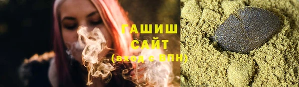 индика Зеленодольск