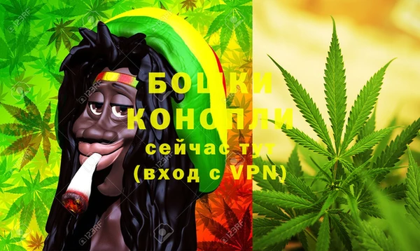 индика Зеленодольск