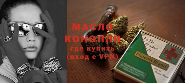 индика Зеленодольск