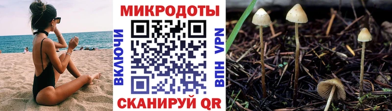 Купить где  Чебаркуль  Псилоцибиновые грибы мицелий 